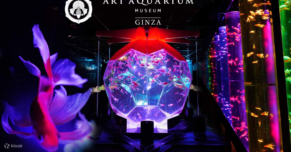 Tiket Masuk Art Aquarium Museum GINZA Klook Indonesia